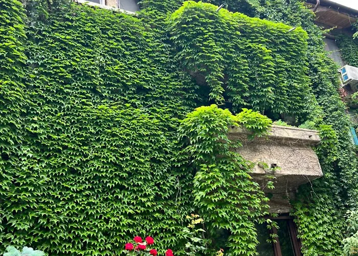 Studio Villa Floreasca Bucureşti